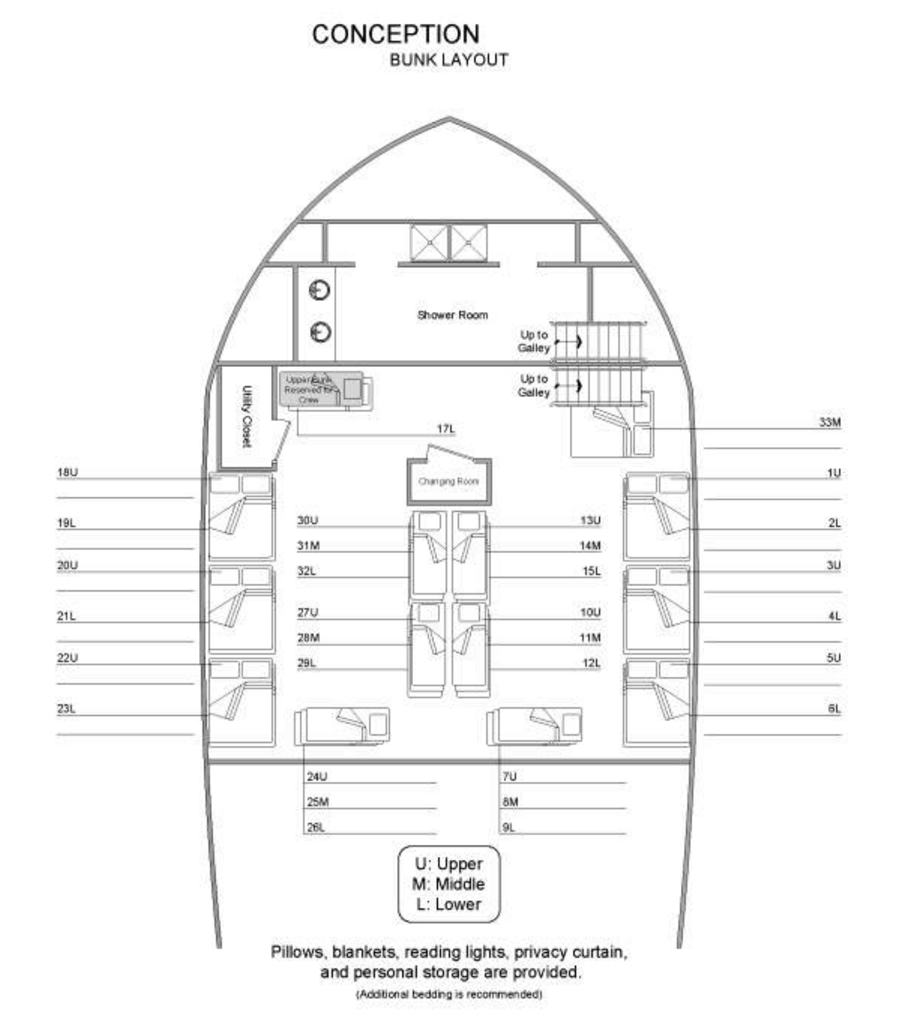 Conception blank layout of the interior and supplies